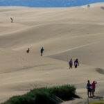 6 dingen om te doen in Maspalomas – Dit mag je niet missen